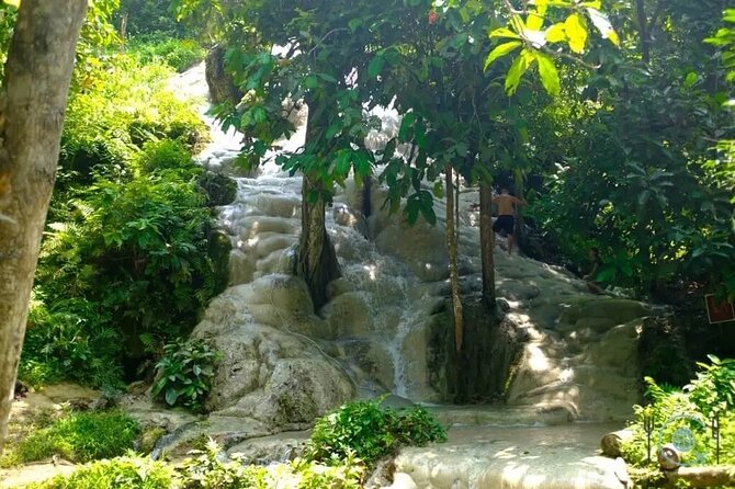 Private Tour: Bua Thong Sticky Waterfalls Tour - The upper picnic area and what you can eat