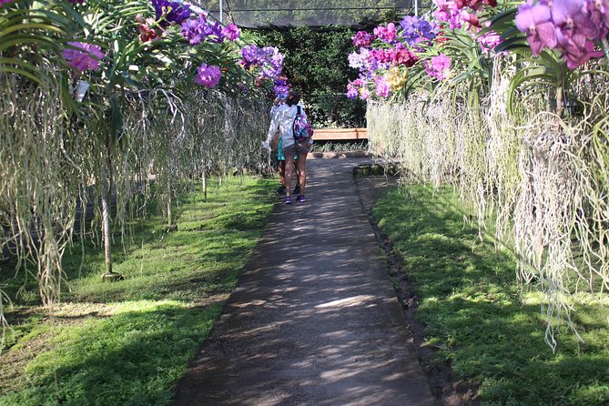 Private tour] Perfect day! Sticky waterfall + ChiangDao Cave + Wat BandenTemple - Chiang Dao Cave, with time for the temple grounds