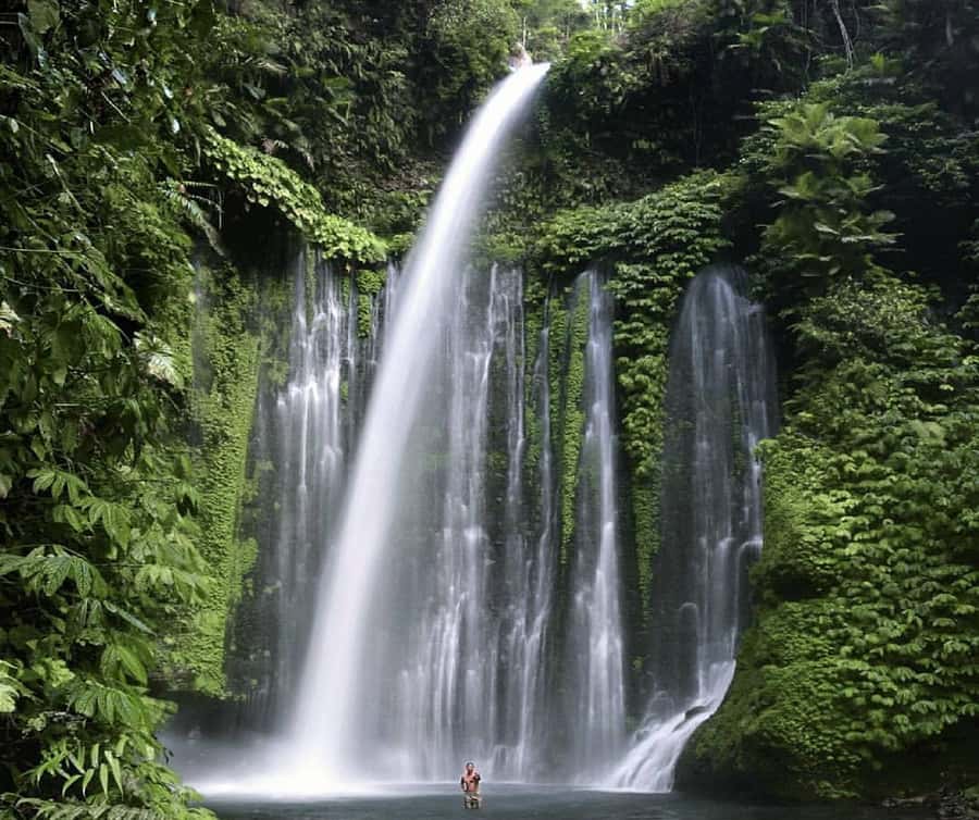 "Private Tour: Sendang Gile, Tiu Kelep Waterfall & Sembalun" - Why This Tour Works for a First Lombok Day Trip
