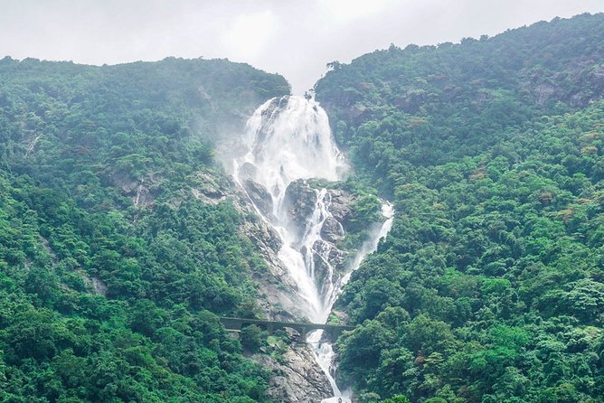 Private Tour to Goa and Dudhsagar Waterfalls with Lunch - A Goan spice plantation and a proper lunch