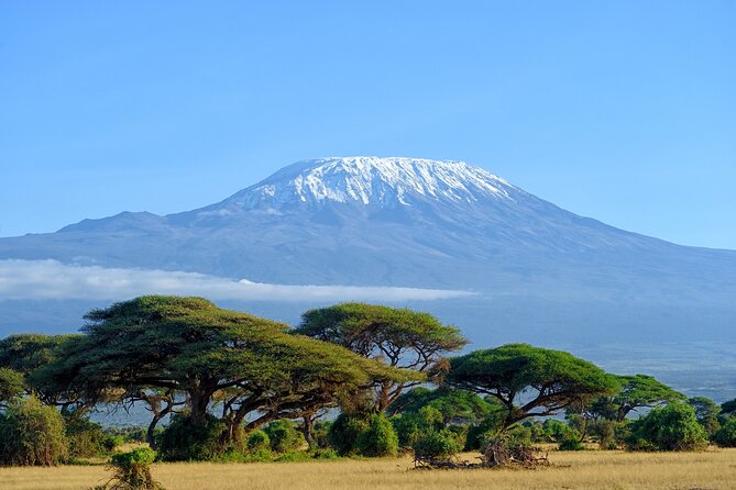 Private Tour to Marangu Waterfalls, Chagga Caves, Coffee tour & Hot Springs - Why This Day Trip Works From Arusha