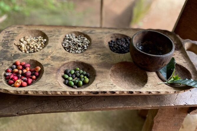 Private Tour to Marangu Waterfalls, Chagga Caves, Coffee tour & Hot Springs - Who Should Book This Experience?