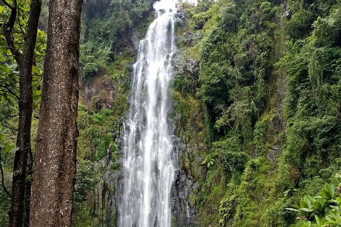 Private Tour to Materuni waterfalls, coffee tour & Kikuletwa hot- springs - Guide service and the personal feel of the day