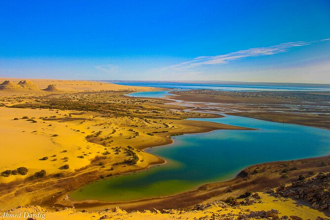 Private Tour to Whales Valley & Wadi El Rayan Waterfalls in El Fayoum from Cairo - The Cairo pickup and the long road south
