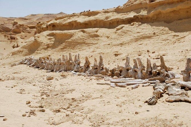 Private Tour to Whales Valley & Wadi El Rayan Waterfalls in El Fayoum from Cairo - Lunch, dunes, sandboarding, and Magic Lake
