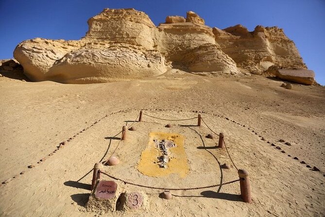 Private Tour to Whales Valley & Wadi El Rayan Waterfalls in El Fayoum from Cairo - Tunis Village and the view across the lake