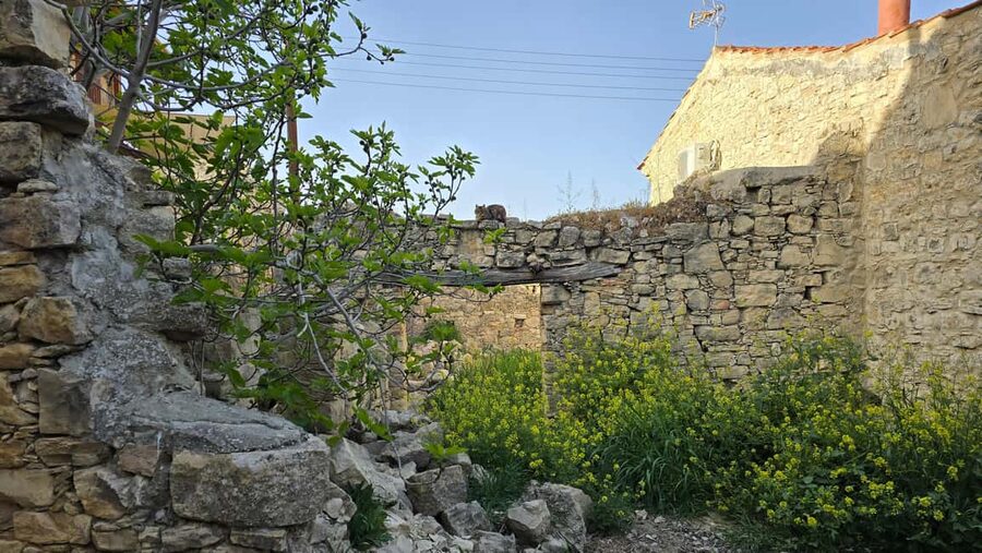 PRIVATE TOUR | Troodos Mountain: Waterfall, Villages & Lunch - Who should book this private day?