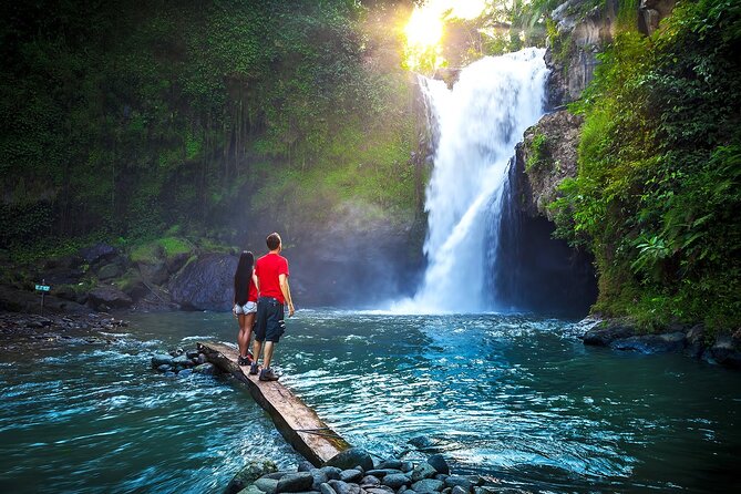 Private Tour: Waterfall, Kintamani Volcano, Ubud Tour with Lunch - The day at a glance