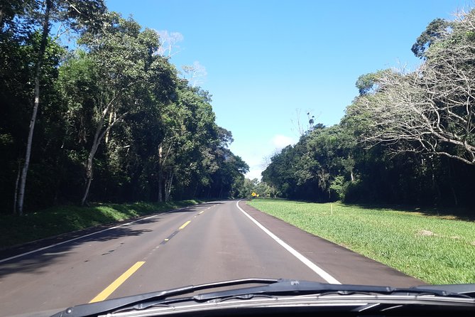 Private transport with guide to Brazil Falls + Bird Park - Timing, walking, and what to bring