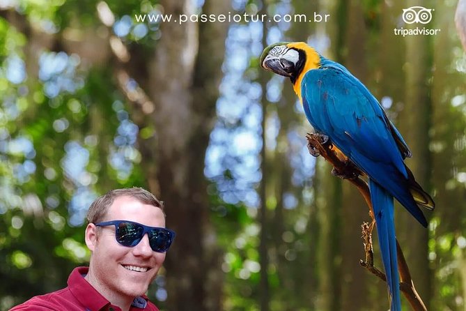 Private transport with guide to Brazil Falls + Bird Park - Parque das Aves: a quieter second act