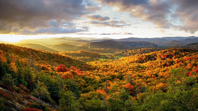 Private Waterfall and Blue Ridge Parkway Tour with a Naturalist - Key details before you book