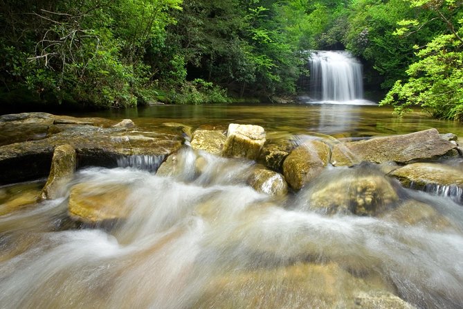 Private Waterfall and Blue Ridge Parkway Tour with a Naturalist - Why this Asheville half-day tour works well