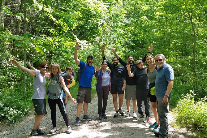 Private Waterfall and Blue Ridge Parkway Tour with a Naturalist - Looking Glass Falls as a highlight
