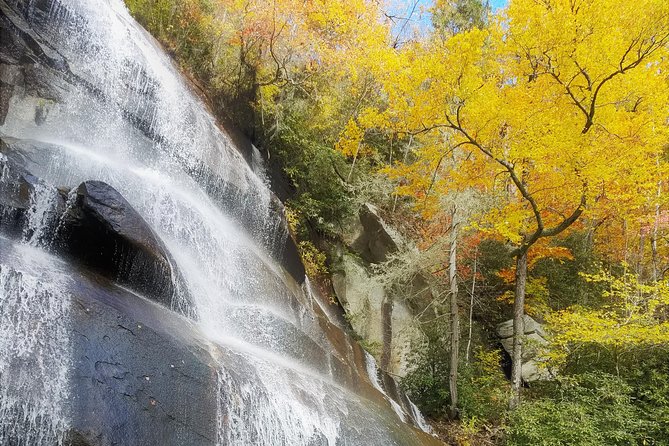 Private Waterfall and Blue Ridge Parkway Tour with a Naturalist - The private format and the value question