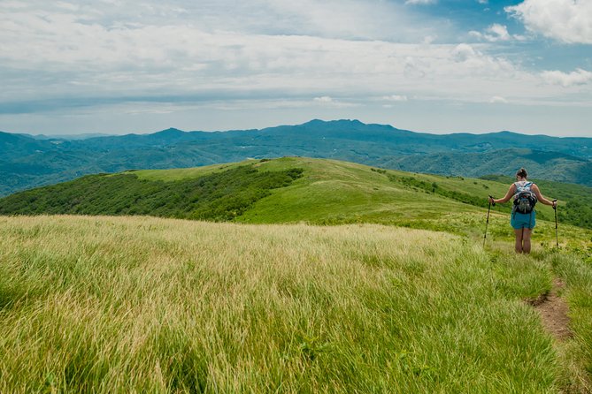 Private Waterfall and Blue Ridge Parkway Tour with a Naturalist - Who should book this waterfall outing