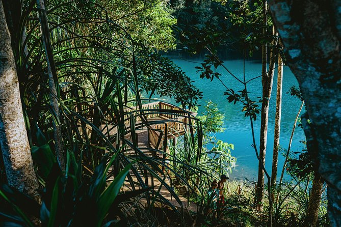Private Waterfall and Rainforest Day Tour - A full day beyond Cairns