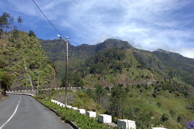 Private Waterfalls and Fanal Forest Tour - Ribeira Brava, Coffee, and a Sea-Level Break