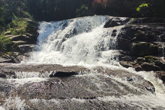Private Waterfalls and Still Jeep 4x4 6hrs by Jango Paraty - Inside an alambique: Gabriela, sweets, and local production