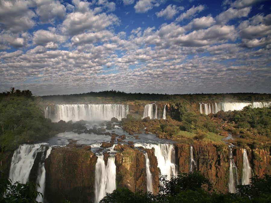Puerto Iguazú: Brazilian Falls Half-Day Panoramic Tour - The rainforest ride into Iguaçu National Park