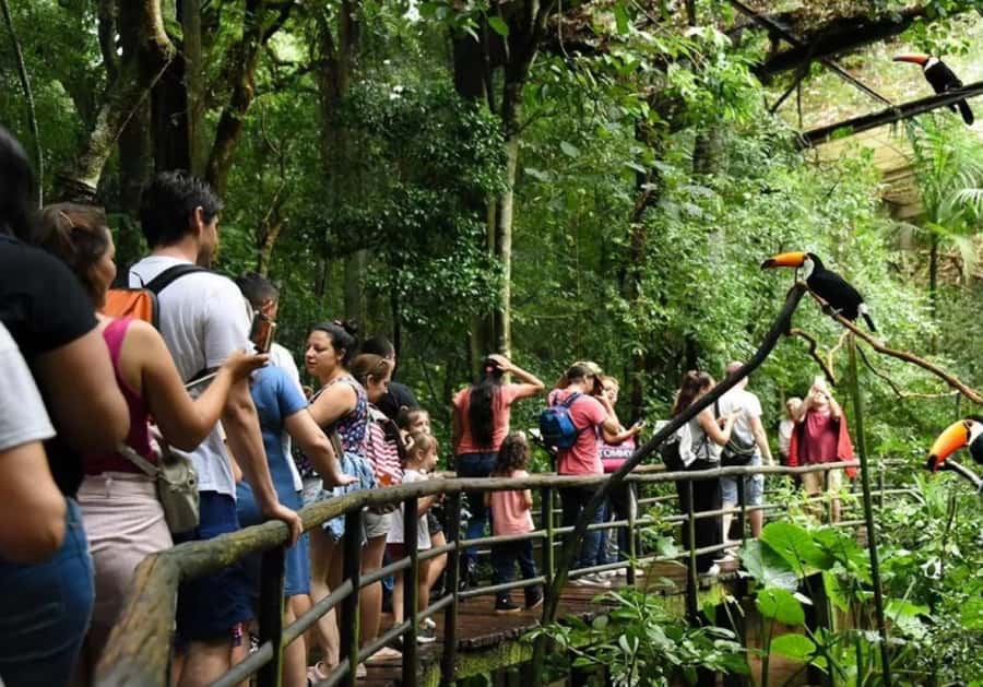 Puerto Iguazu: Iguaza Falls Brazilian Side & Bird Park Tour - Leaving Puerto Iguazu and crossing into Brazil