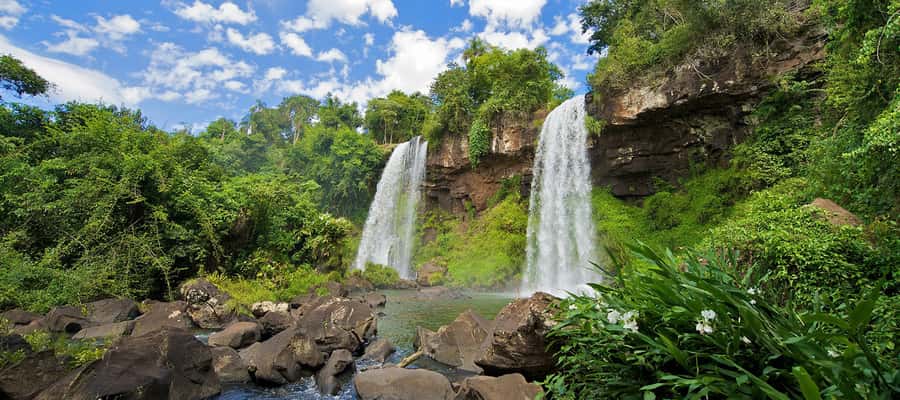 Puerto Iguazu: Iguazu Falls Argentinian Side Full-Day Tour - Who should book this $18 day trip?