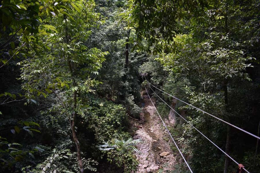 Puerto Plata/Amber Cove: Zipline and Waterfalls with Lunch - Five ziplines above Puerto Plata’s jungle