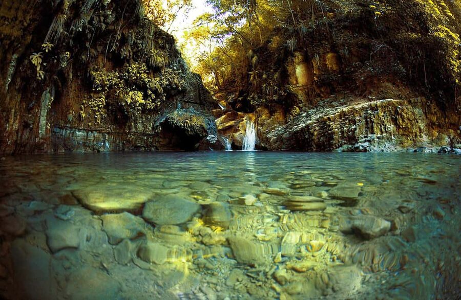 Puerto Plata: Damajagua Waterfalls Full-Day Adventure - The rainforest walk to the first cascade