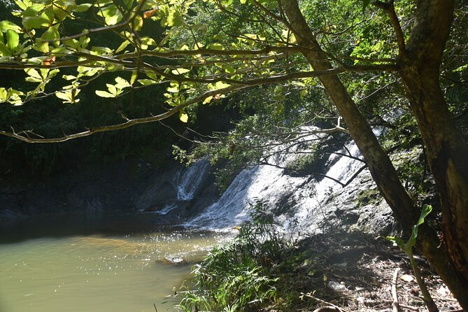 Puerto Rico Waterfall Hiking Tour: Discover Hidden Gems 2.0 - Quick reasons to consider this waterfall tour