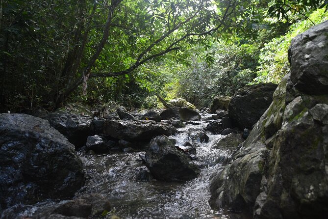 Puerto Rico Waterfall Hiking Tour: Discover Hidden Gems 2.0 - A 40 to 60-minute trail with real obstacles