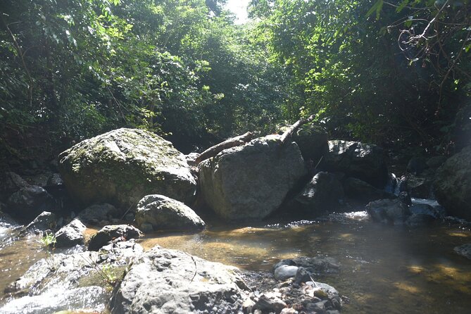 Puerto Rico Waterfall Hiking Tour: Discover Hidden Gems 2.0 - A Puerto Rican meal after the hike