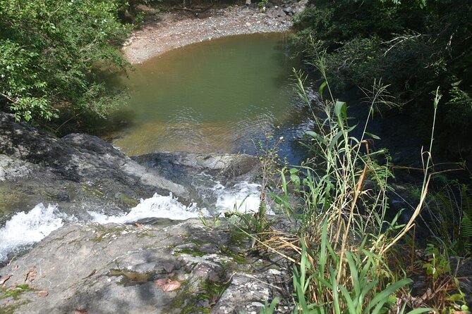 Puerto Rico Waterfall Hiking Tour: Discover Hidden Gems 2.0 - Why the guides matter