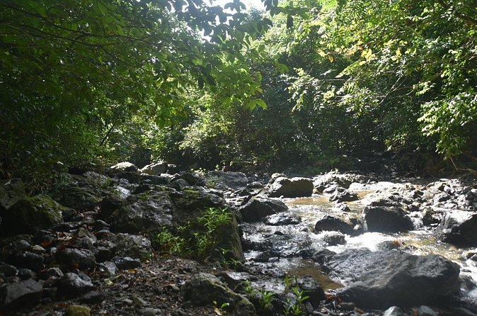Puerto Rico Waterfall Hiking Tour: Discover Hidden Gems 2.0 - What the $80 price really covers