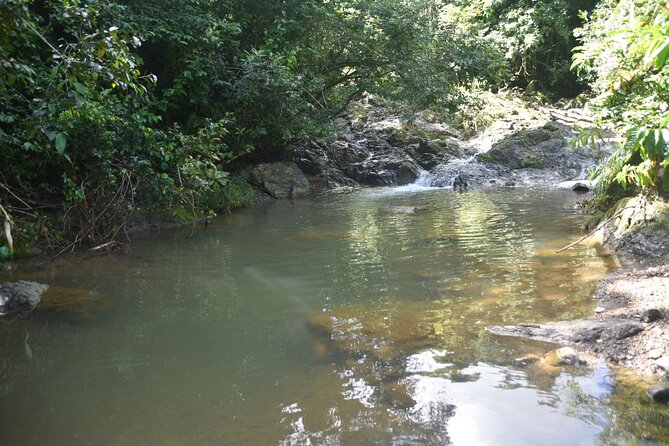 Puerto Rico Waterfall Hiking Tour: Discover Hidden Gems 2.0 - Should you book Puerto Rico Waterfall Hiking Tour 2.0?