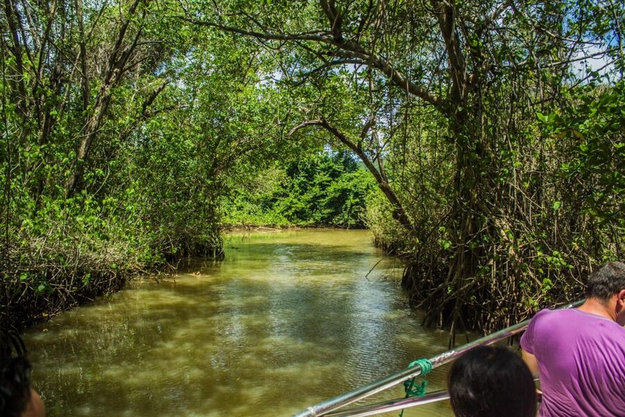 Punta Cana: 3-in-1 Adventure Haitises Park Waterfall Montaña - Los Haitises National Park feels like another world