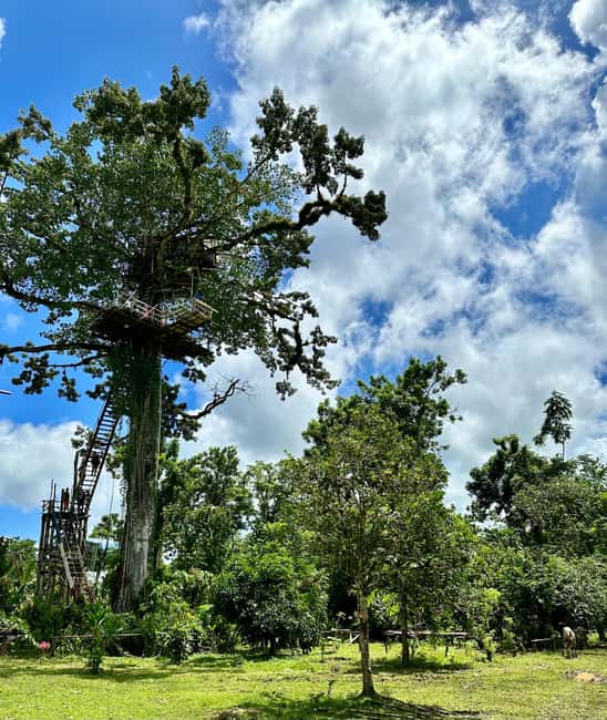 Punta Cana: 3-in-1 Adventure Haitises Park Waterfall Montaña - Who will enjoy this tour most?