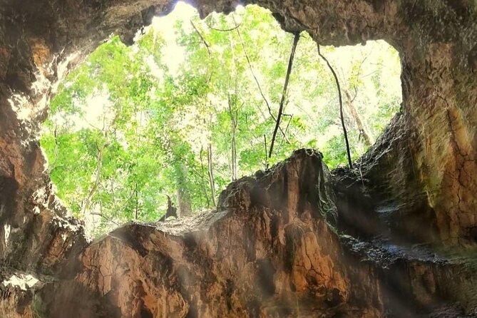 Punta Cana 3in1 Adventure: Los Haitises Park, Waterfall & Montaña - Los Haitises National Park by boat