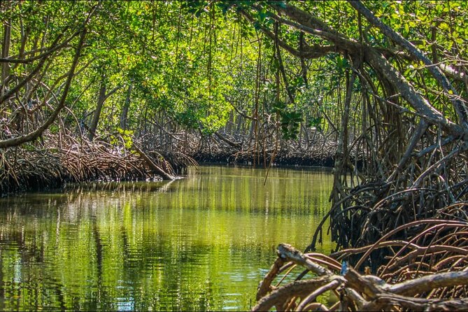 Punta Cana 3in1 Adventure: Los Haitises Park, Waterfall & Montaña - Who should book this adventure?
