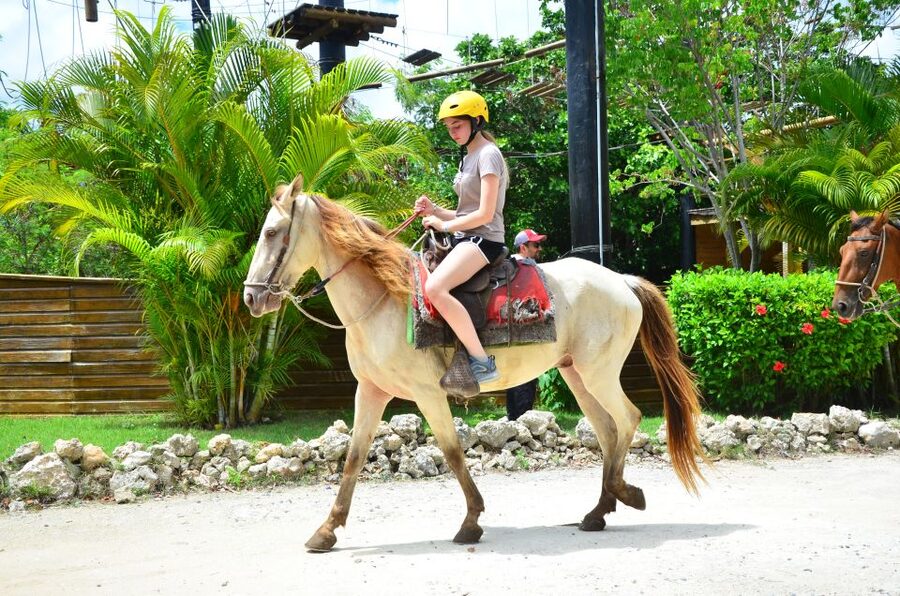 Punta Cana: Bávaro Adventure Park Horse Riding & Waterfalls - Who Should Choose This Tour