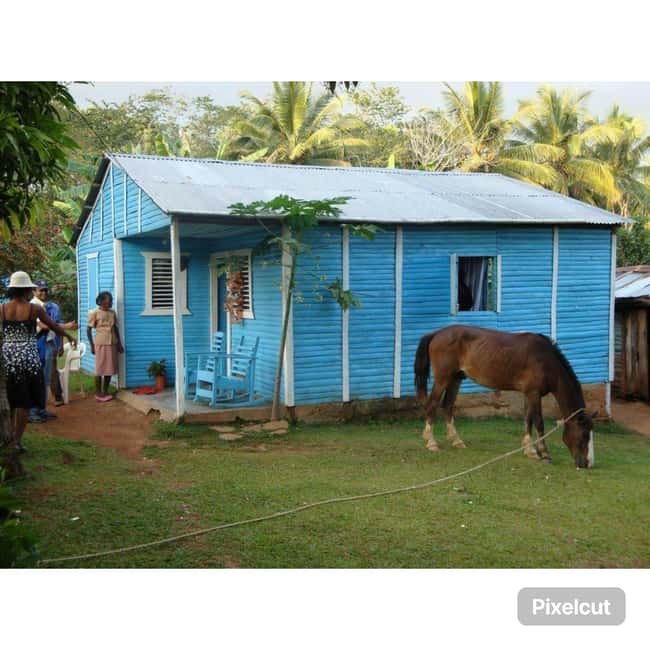 Punta Cana: Samaná Cayo Levantado & El Limón Waterfall Tour - What the $99 price really includes