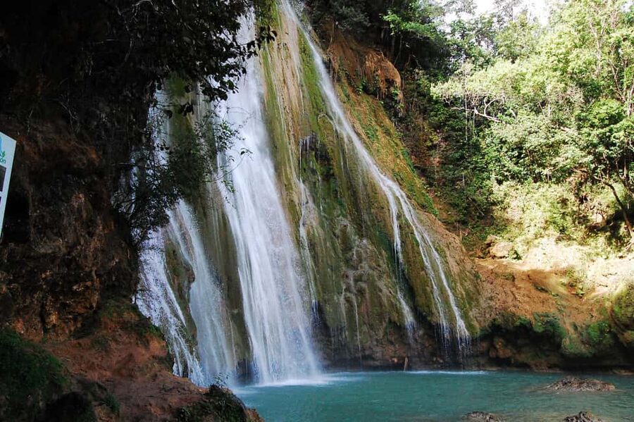 Punta Cana: Samaná Whale Watching, Bacardi & Limon Falls - Dominican lunch between the major stops