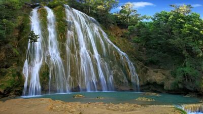 Samaná Whale Watching, Bacardi & Limon Falls