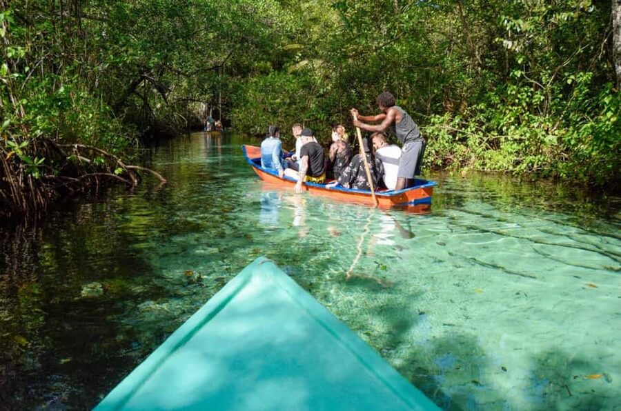 Punta Cana: Whale Watching, Cayo Levantado & Limon Waterfall - Key points to know before booking