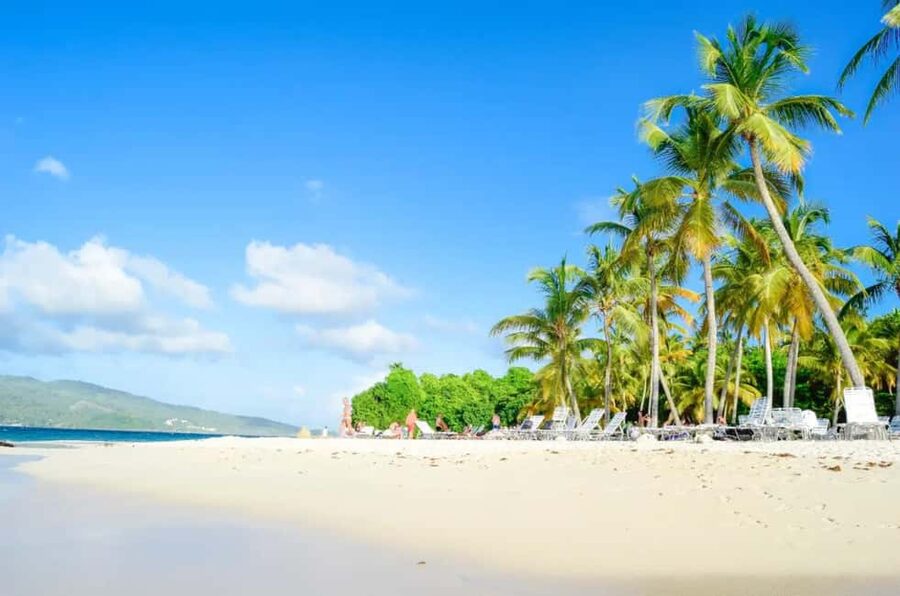 Punta Cana: Whale Watching, Cayo Levantado & Limon Waterfall - Why this Samaná day trip is appealing