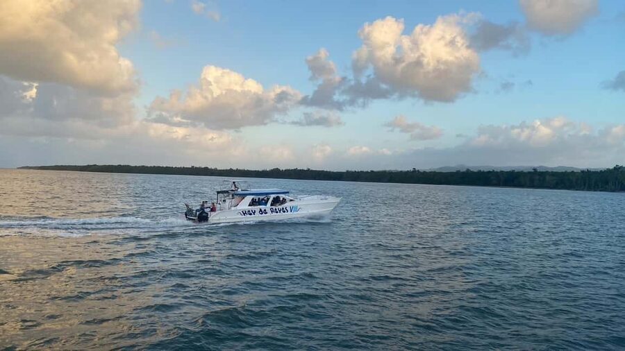 Punta Cana: Whale Watching, Cayo Levantado & Limon Waterfall - A traditional Dominican lunch at the right moment