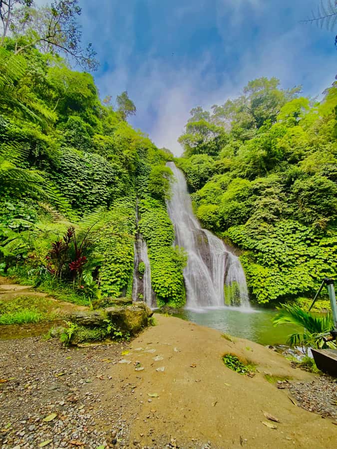 Quad ride, waterfalls & aunthentic cooking class in munduk - Hydrangea fields and coffee plants