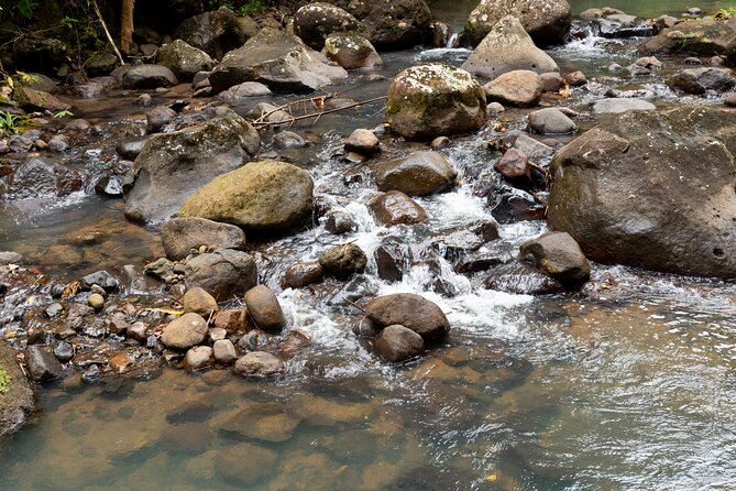 Rainforest Hike and Waterfall Safari - Cold water, smooth pools, and limited swim time