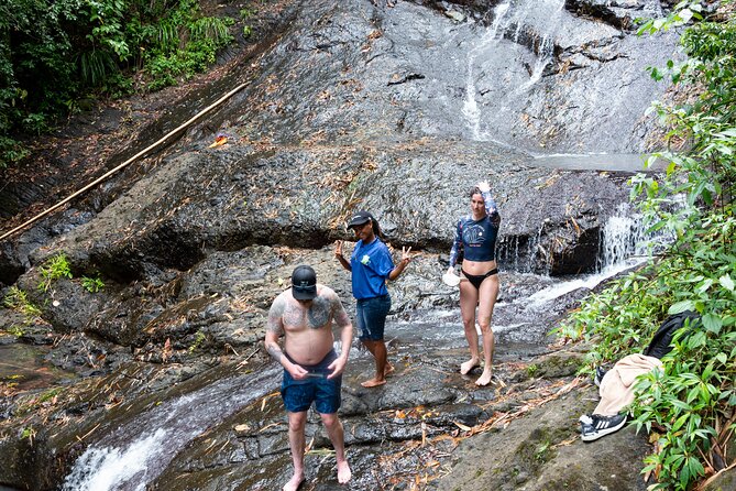 Rainforest Hike and Waterfall Safari - What the $66.67 price includes