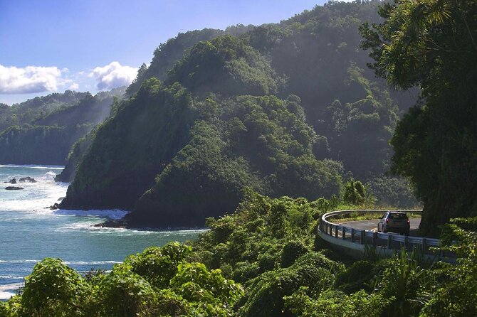 Rappel Maui Waterfalls and Rainforest Cliffs - Five things to know before you book