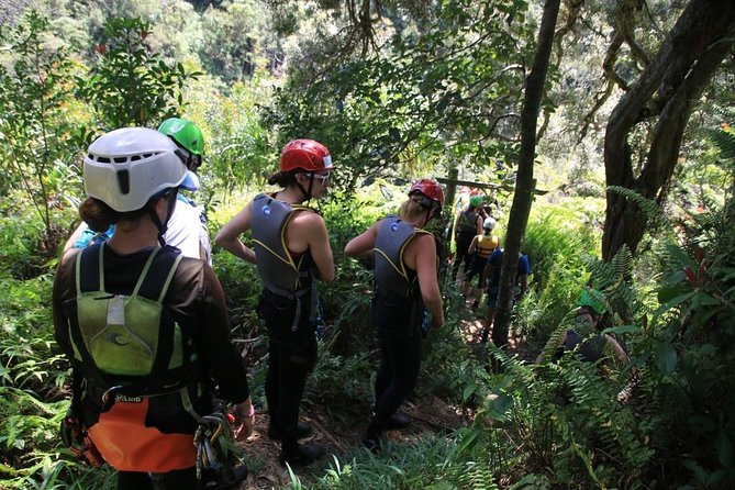Rappel Maui Waterfalls and Rainforest Cliffs - Who will get the most from the $240.84 price