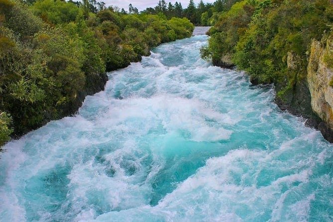 Redwood Forest , Blue Springs & Huka Falls Day Tour from Auckland - Why this day trip appeals to me